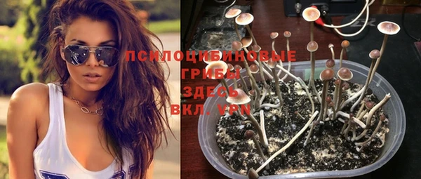 гашик Саяногорск