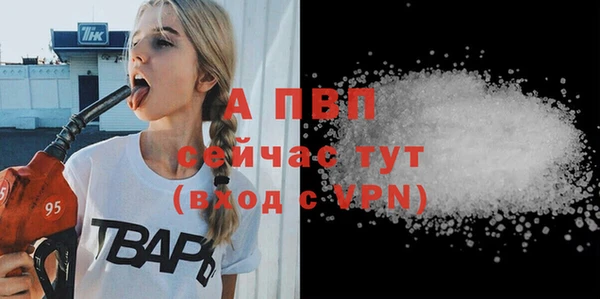 гашик Саяногорск