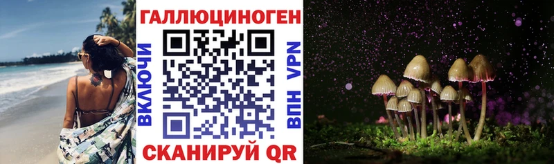 купить наркотики сайты  Строитель  Псилоцибиновые грибы Psilocybine cubensis 