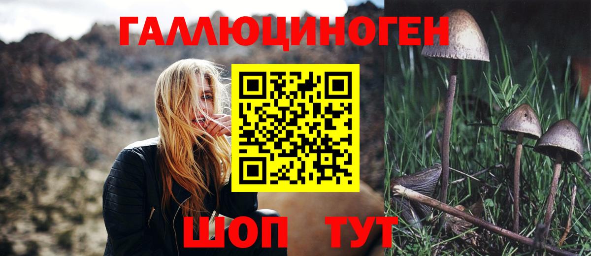 Галлюциногенные грибы Psilocybe  Вход с VPN  Строитель  наркотики  Галлюциногенные грибы MAGIC MUSHROOMS 
